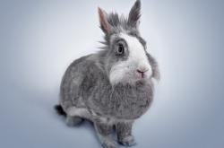 英雄联盟总决赛直播-资本接管与天才接管，现代体育的两副面孔