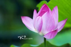 英雄联盟总决赛2025-维京战吼撼动神话巨人，挪威黑马欧冠惊天逆转希腊豪门