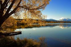 英雄联盟总决赛直播-意甲焦点战之夜，楚阿梅尼证明自己—他就是豪门争冠的终极拼图