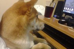 英雄联盟总决赛直播-冰川裂隙的回响，迪巴拉如何用一脚弧线刺穿北欧神话