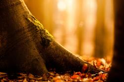 英雄联盟总决赛门票-战略封锁与个人英雄主义，阿森纳的埃及防线与萨内的抢七时刻