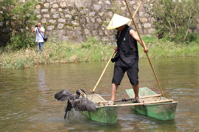 游泳比赛中出现惊人逆转,现场观众惊呼连连的简单介绍 游泳比赛中出现惊人逆转,现场观众惊呼连连的简单介绍