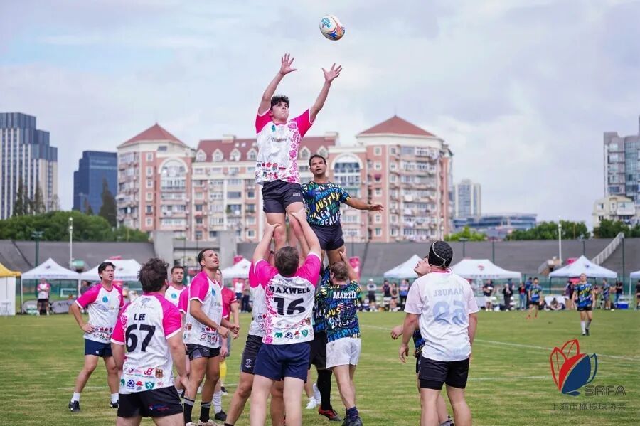 全球瞩目！橄榄球赛事即将收官的简单介绍