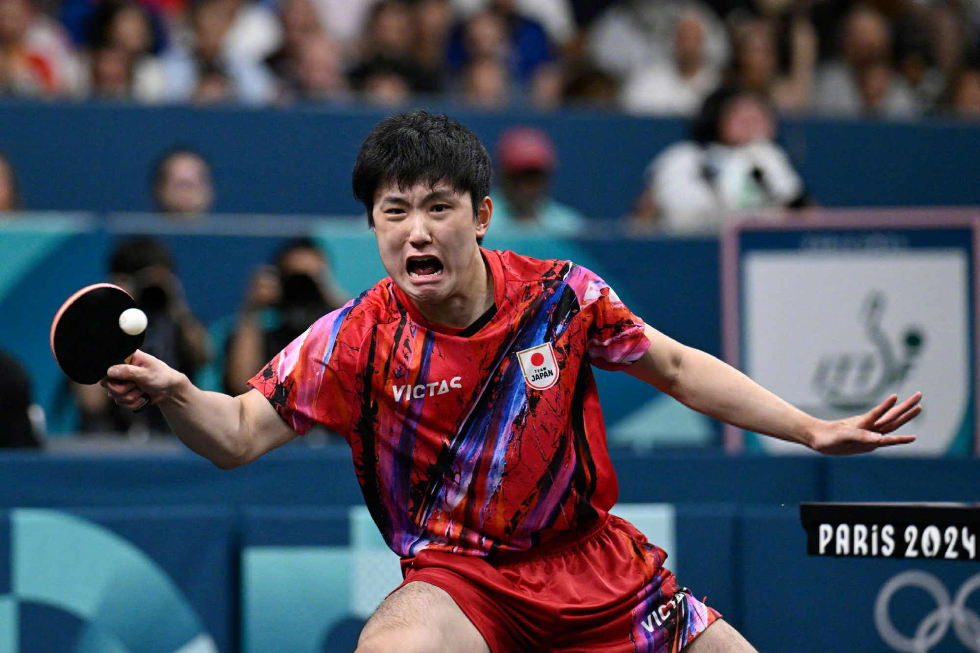 包含日本队完胜中国队，张本智和高光表现的词条