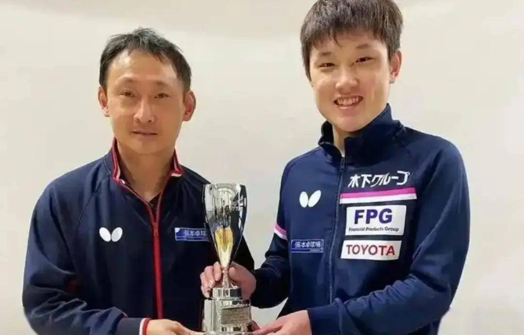 包含日本队完胜中国队，张本智和高光表现的词条