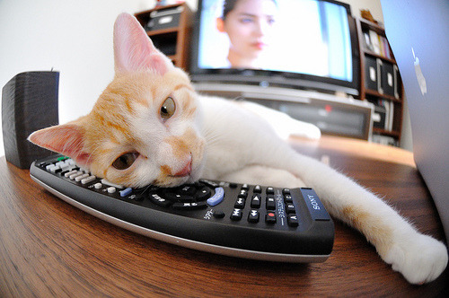 吉林寒风吹不灭的地火，小贾伦用沉默凿穿雪山般的金州勇士