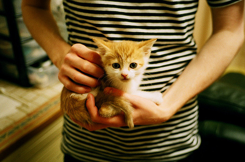 意式狂飙VS大洋洲闪电，F1年度争冠的那不勒斯-新西兰血拼战