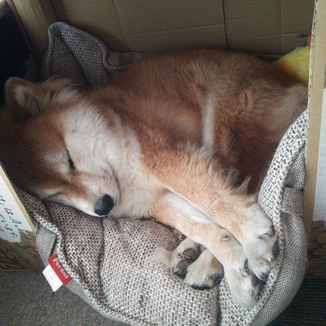 永恒的双雄会,第三颗星升起,奥斯梅恩,在西甲德比的史诗之夜定义新传奇