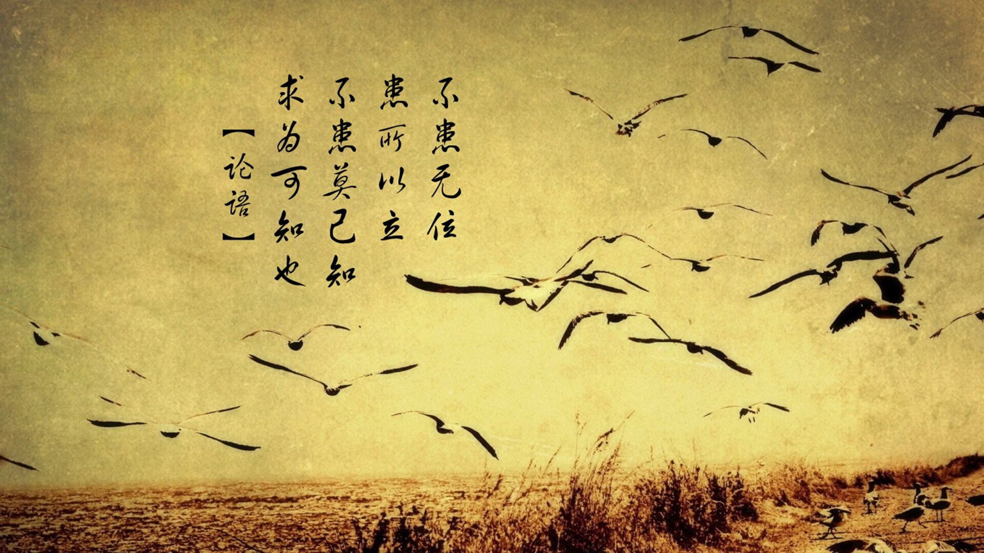 巅峰对决！篮球欧冠惊现诺坎普，新疆力斩快船，布伦森接管淘汰赛