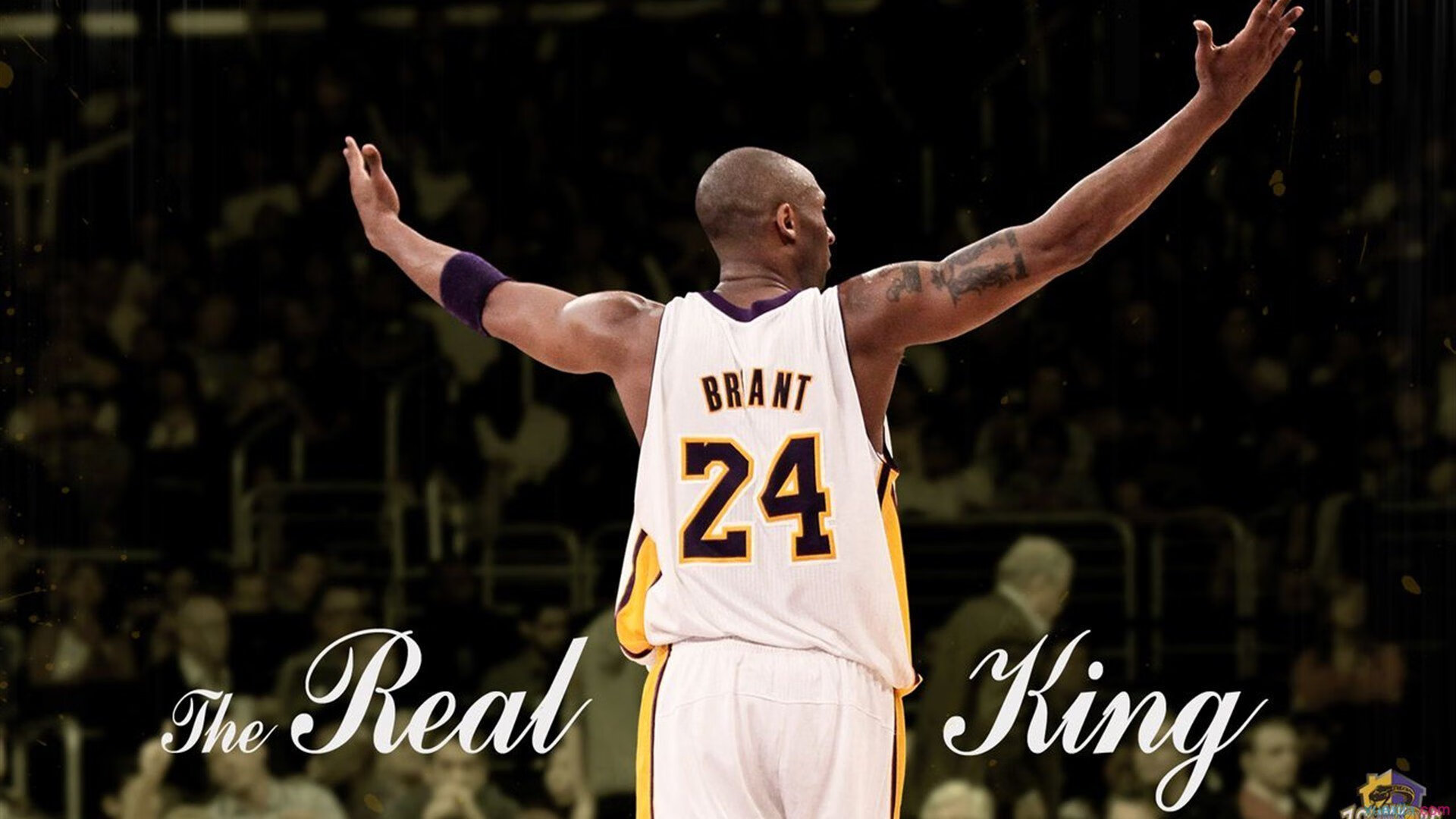 跨界启示录,鹈鹕的节奏魔法与德罗赞的关键时刻哲学