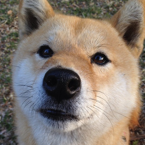 萨内末节狂飙20分，墨西哥爆冷逆转埃及获关键胜利