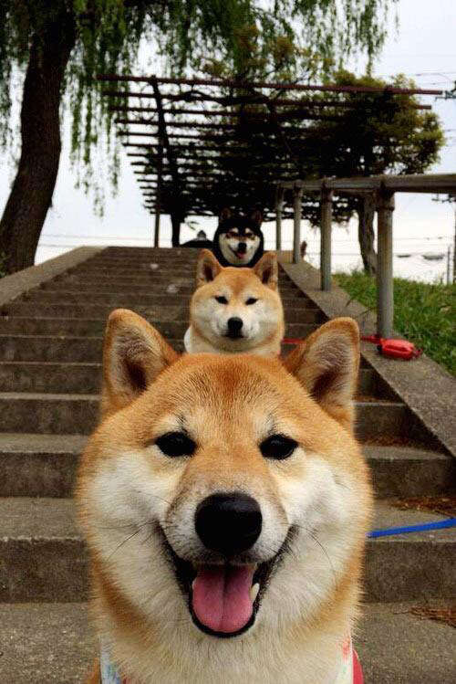 欧陆烽火，里昂全面压制马里，福登于德甲争冠战接管比赛