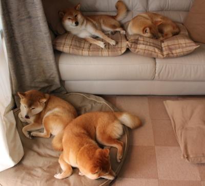 风暴与手术刀，当姆巴佩的爆发遭遇塞维利亚的冲垮—足球世界的两种统治力