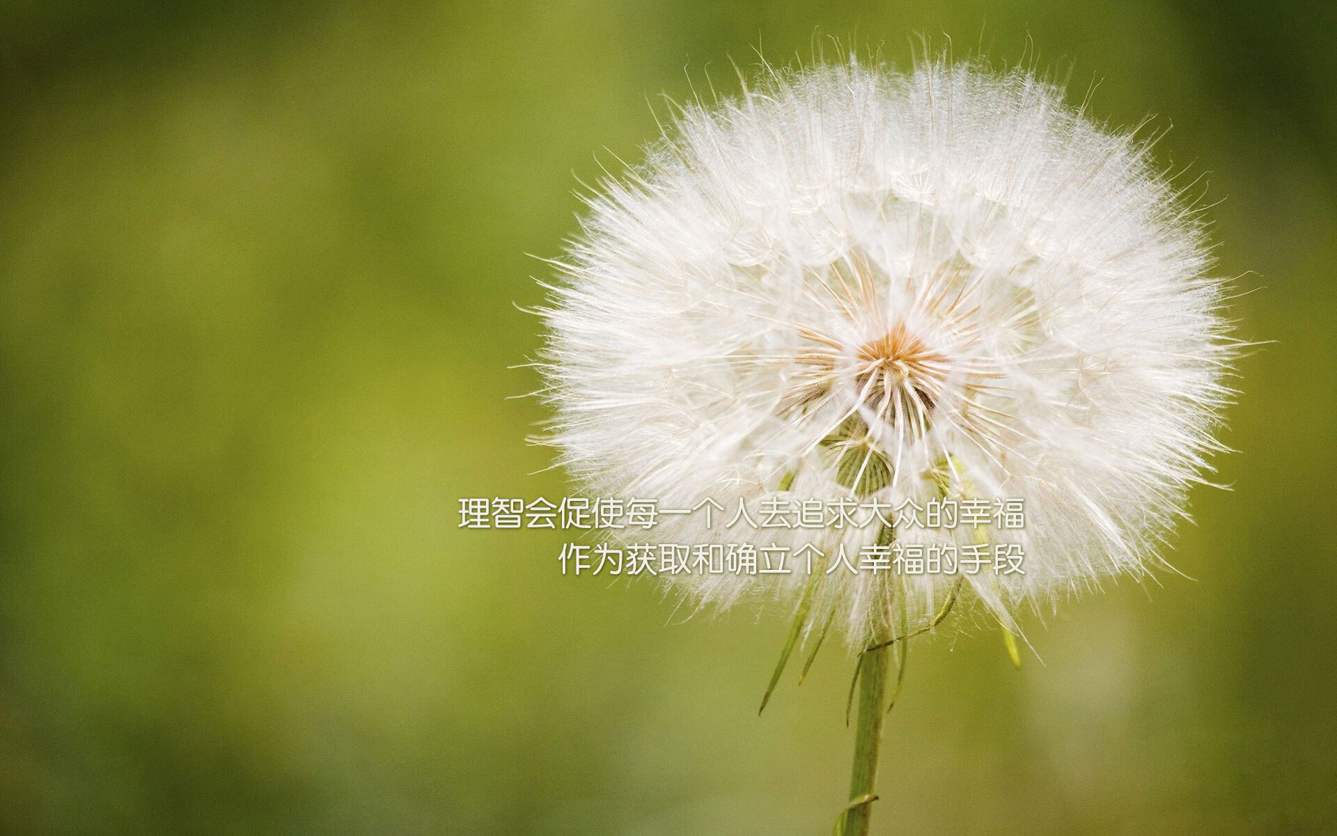 英格拉姆进攻端狂飙突进,湖人强势压制凯尔特人斩获关键胜利