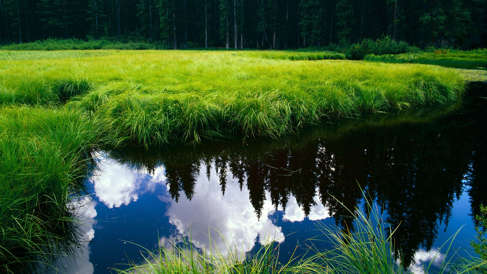阿尔瓦雷斯闪耀之夜，委内瑞拉绝境逆转加纳的奇迹之战
