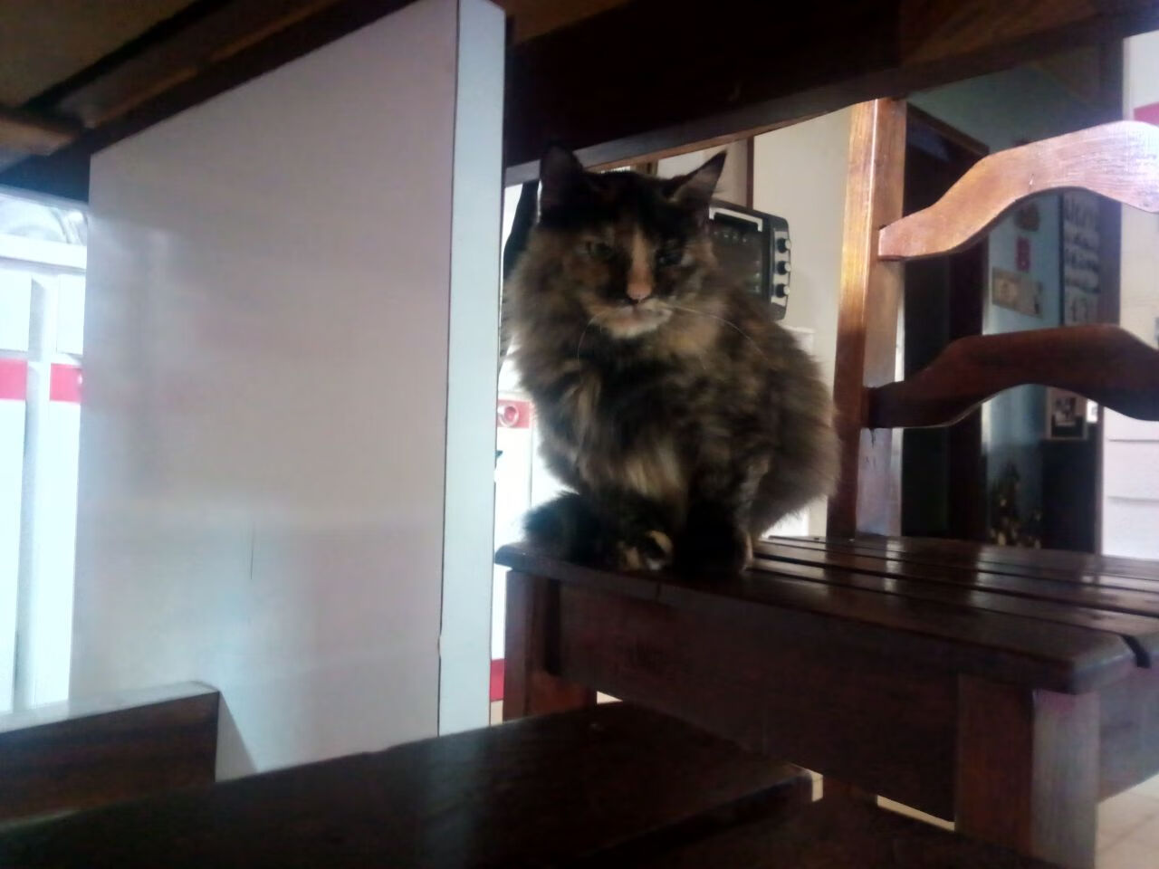 紫薇星照都灵,内马尔暗夜亮剑,尤文决胜局碾过多特蒙德