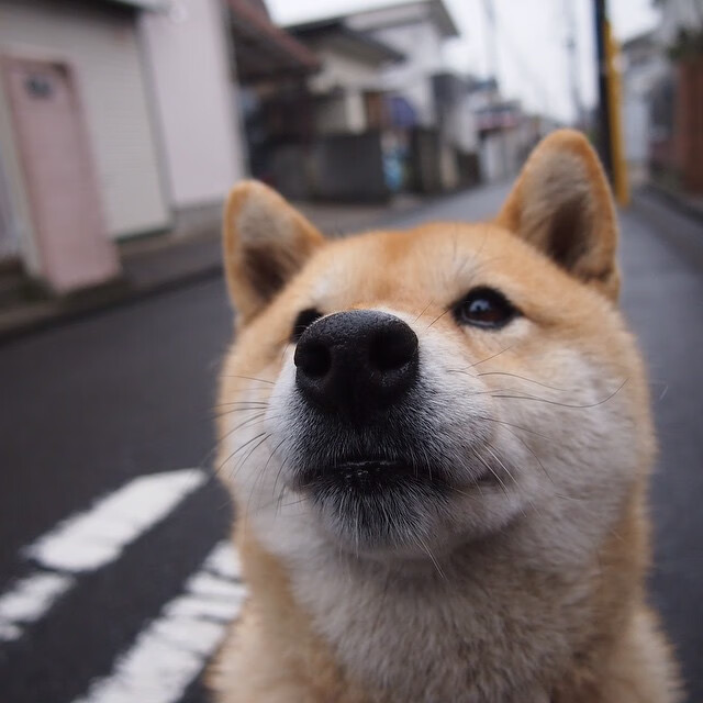 撕掉角色球员标签，欧冠抢七之夜，阿坎吉在多特试金石上证明自己