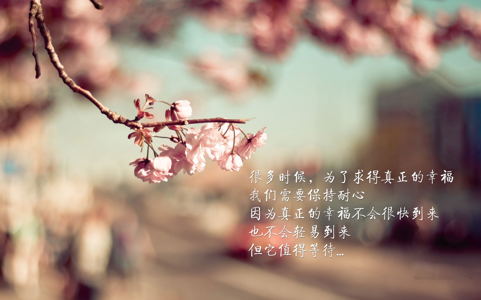 欧冠淘汰赛焦点战，爵士连续得分压制76人—当足球场上响起篮球的节奏